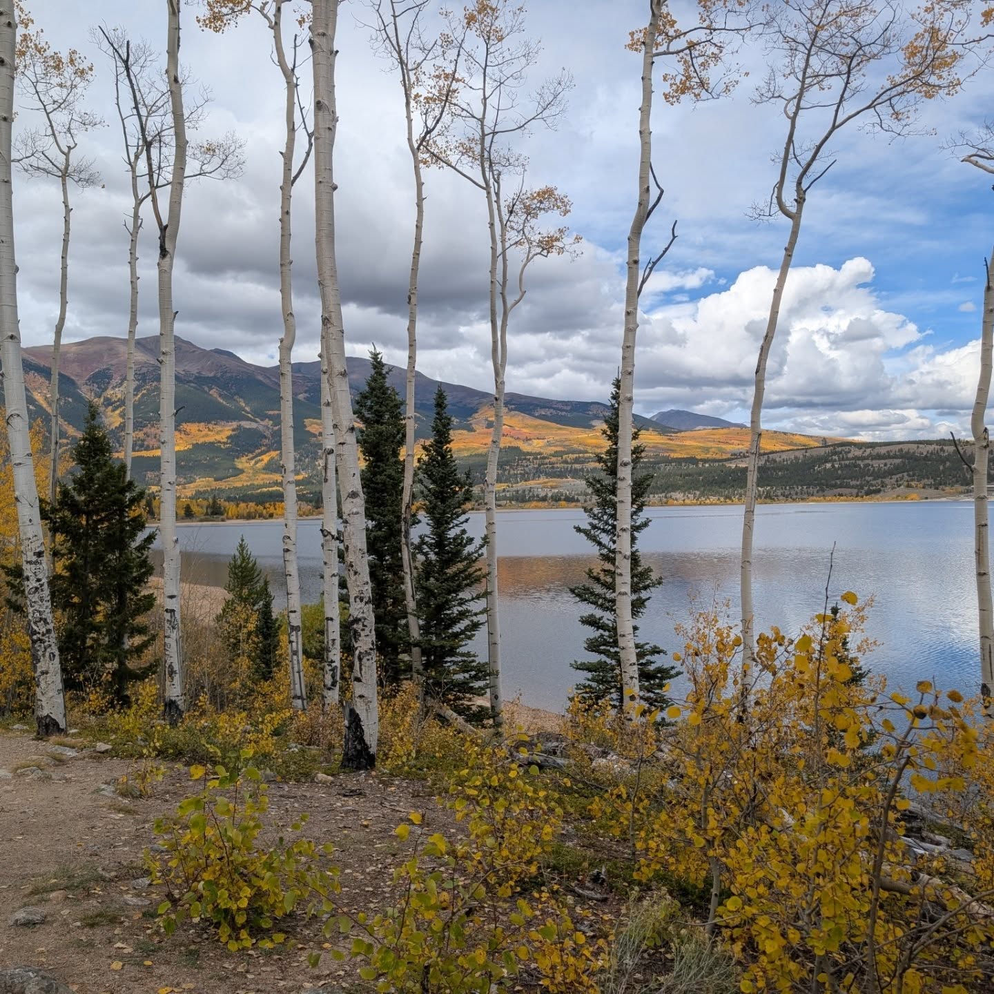 7 Must-See Spots for Fall Foliage on the Collegiate Peaks Scenic Byway